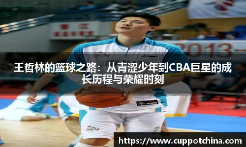 王哲林的篮球之路：从青涩少年到CBA巨星的成长历程与荣耀时刻