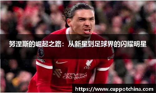 努涅斯的崛起之路：从新星到足球界的闪耀明星